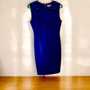 Calvin Klein Royal Blue Sleeveless Dress Full Gold-Like Zipper on Back Size 6
